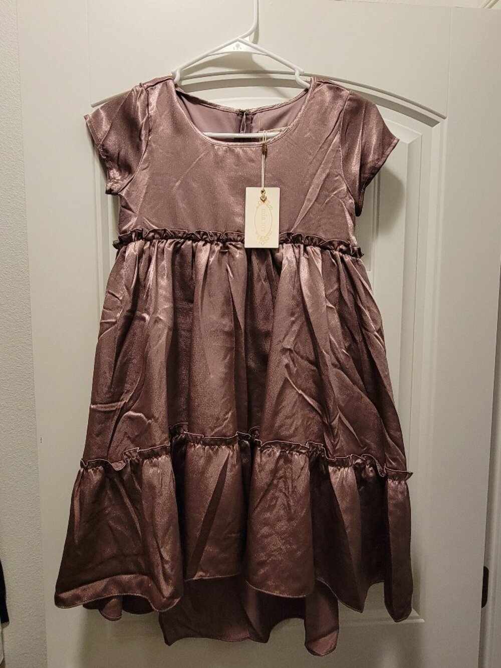 NWT Girl's Beautiful Satin Dress